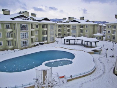 Snowy Pool